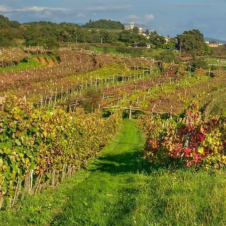 Tourist Farm Pri Zivcovih Сasa de vacaciones Dutovlje