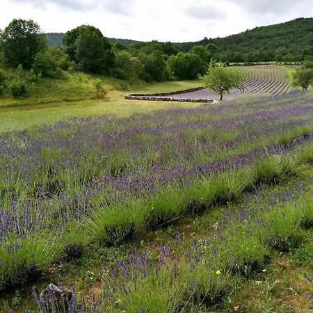 Tourist Farm Pri Zivcovih Dutovlje