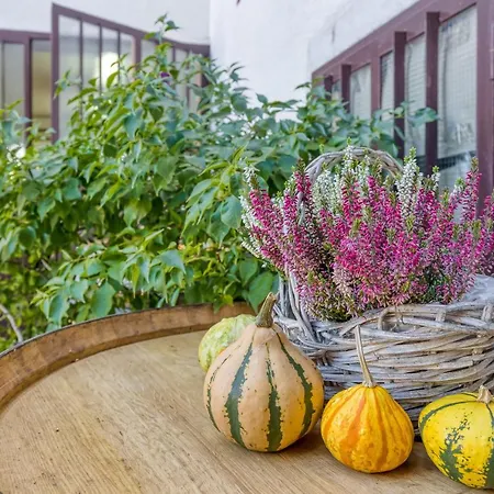 Сasa de vacaciones Tourist Farm Pri Zivcovih Dutovlje