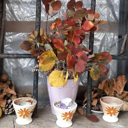 Holiday home Tourist Farm Pri Zivcovih Dutovlje