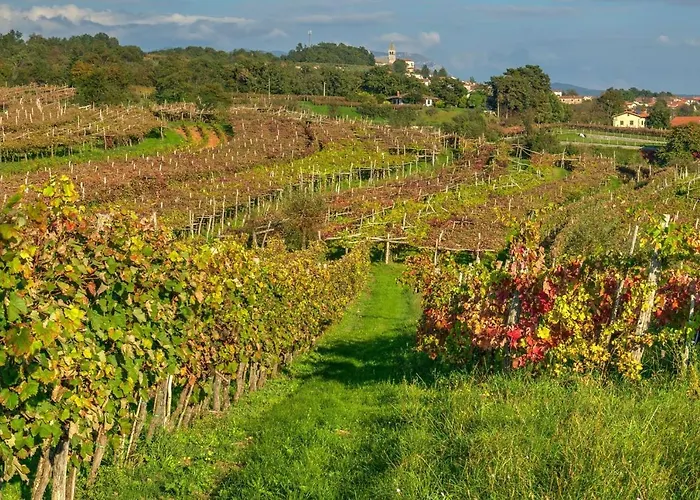 Tourist Farm Pri Zivcovih Vakantiehuis Dutovlje