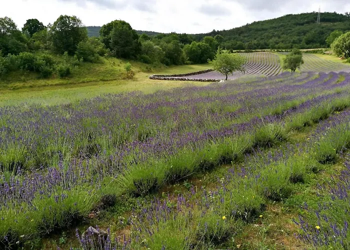Tourist Farm Pri Zivcovih Dutovlje