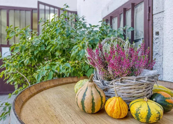 Vakantiehuis Tourist Farm Pri Zivcovih Dutovlje